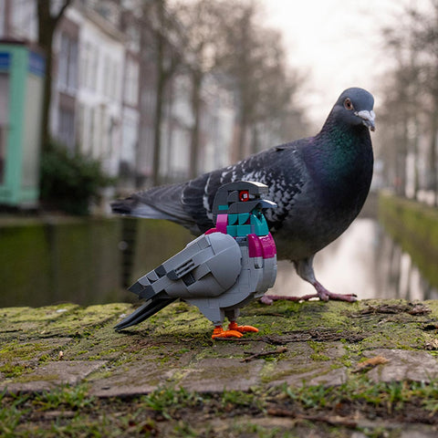 Mocsage MOC-208738 Feral Pigeon Building Blocks Set (255PCS) Mocsage MOC-208738 Feral Pigeon Building Blocks Set (255PCS)